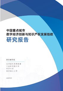 中国重点城市数字经济创新与知识产权发展指数研究报告